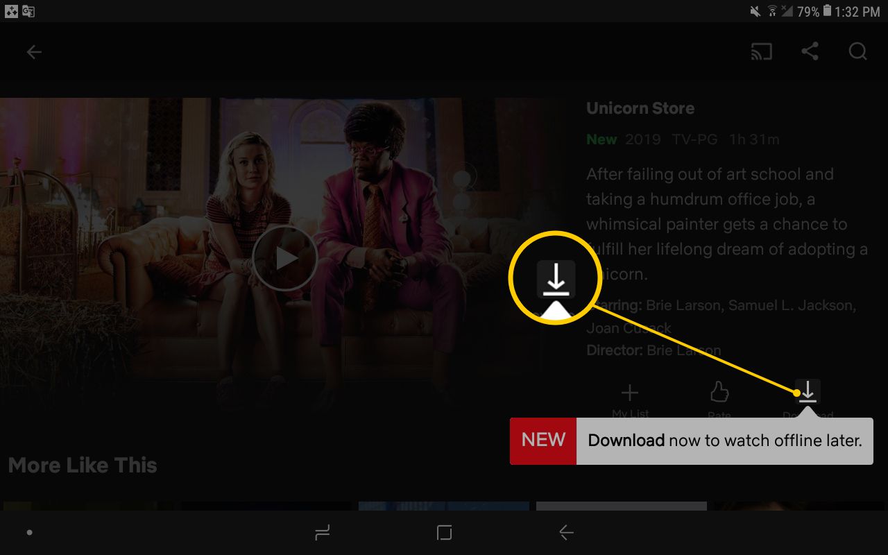 Can You Download Netflix Shows On Mac Offline